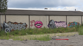 907102 Gezicht op enkele graffitikunstwerken onlangs aangebracht op de zijgevel van een loods aan de Strijkviertel te ...